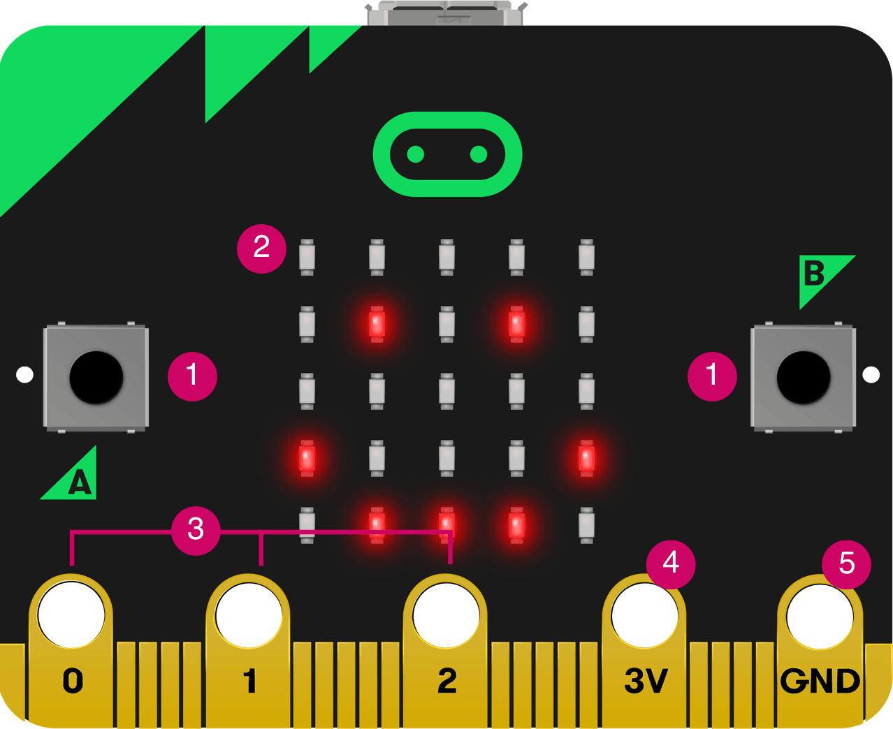 Cate microbit